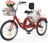 Top 10 Best Tricycles 2026