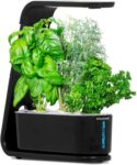 Top 10 Best Herb Gardens 2026
